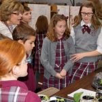 science fair 2019 (37)