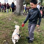 blessing-of-animals-2019 (14)