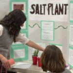 2025-science-fair (9)